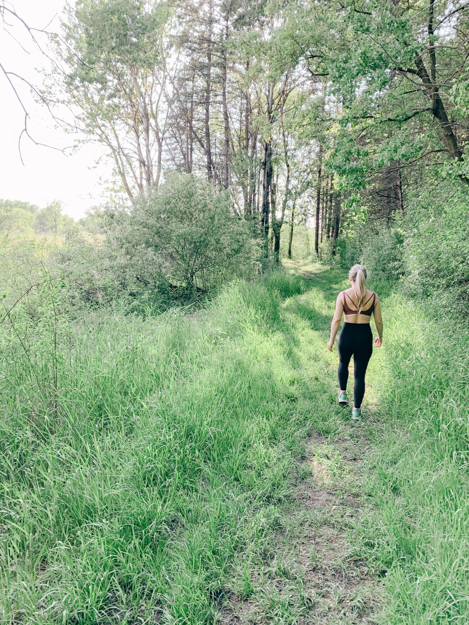 Best Hikes In and Around the Twin Cities