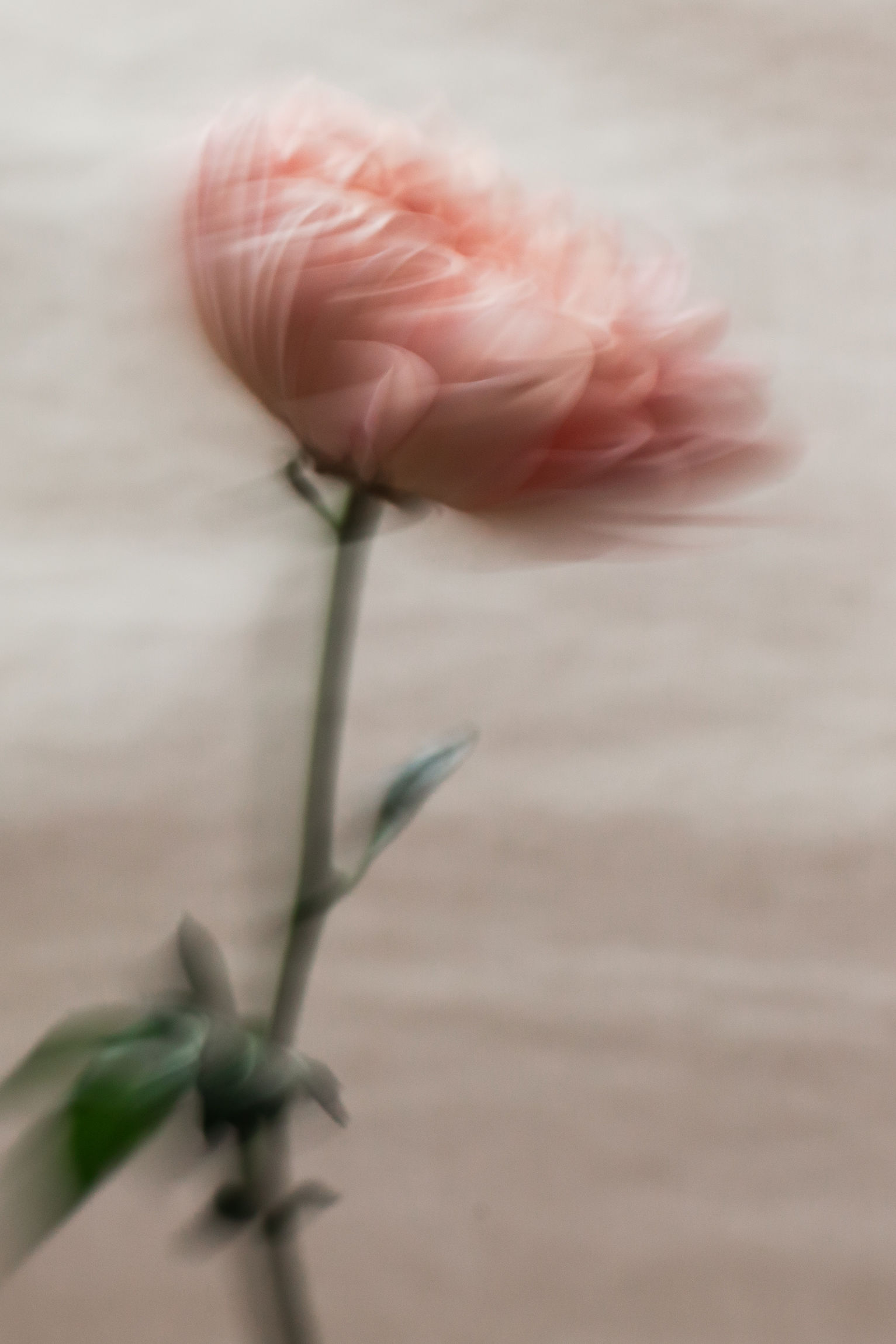 Slow Seasons - Mom Blog, Motherhood Blog, Best Mommy Blog by Kelly Zugay Minnesota Blogger Made by Motherhood - 7