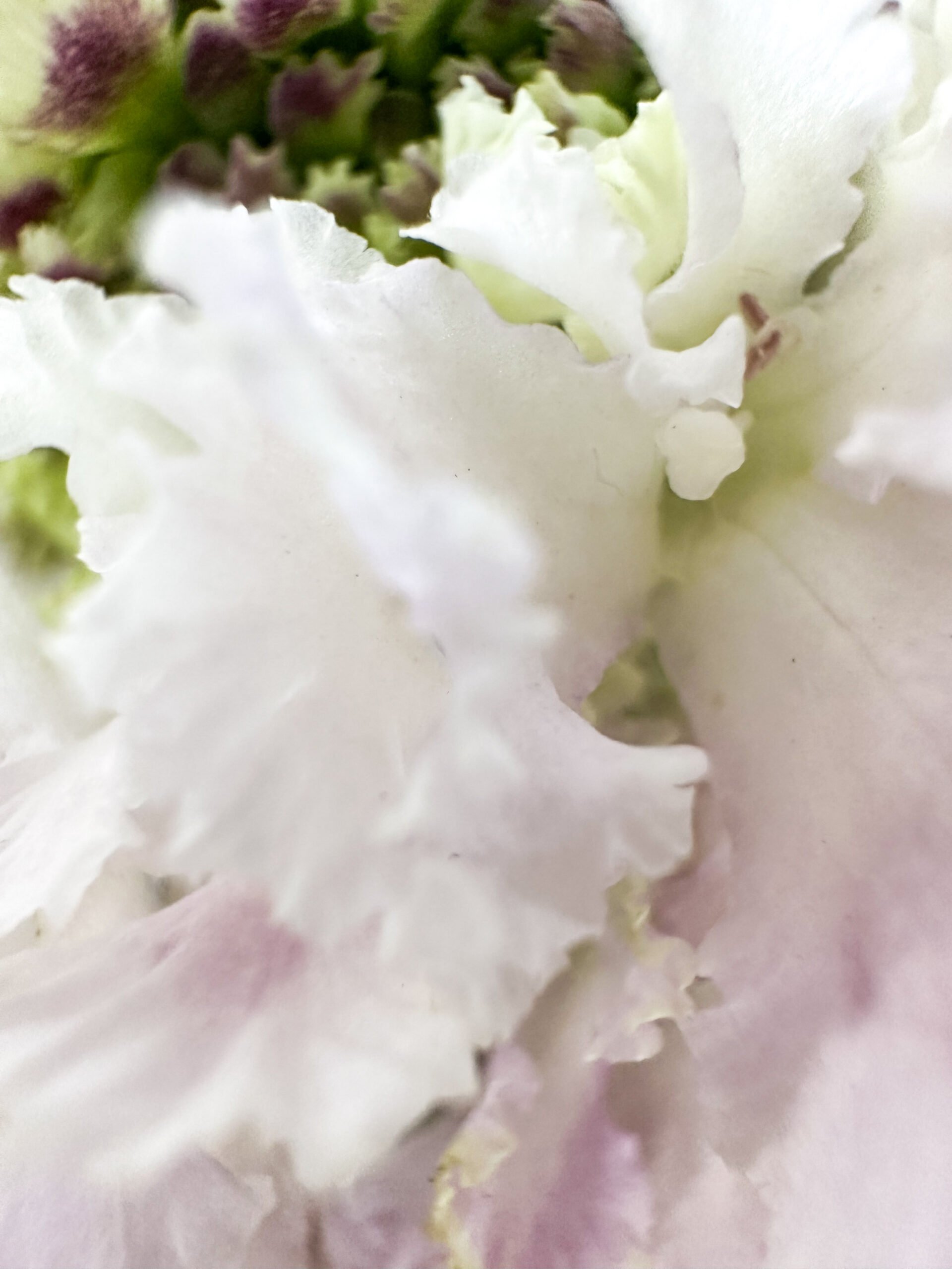 How I'm Refreshing Our Home for Spring - Kelly Zugay - Mom Blog, Mom Blogs, Mom Blogger, Mom Bloggers - 5