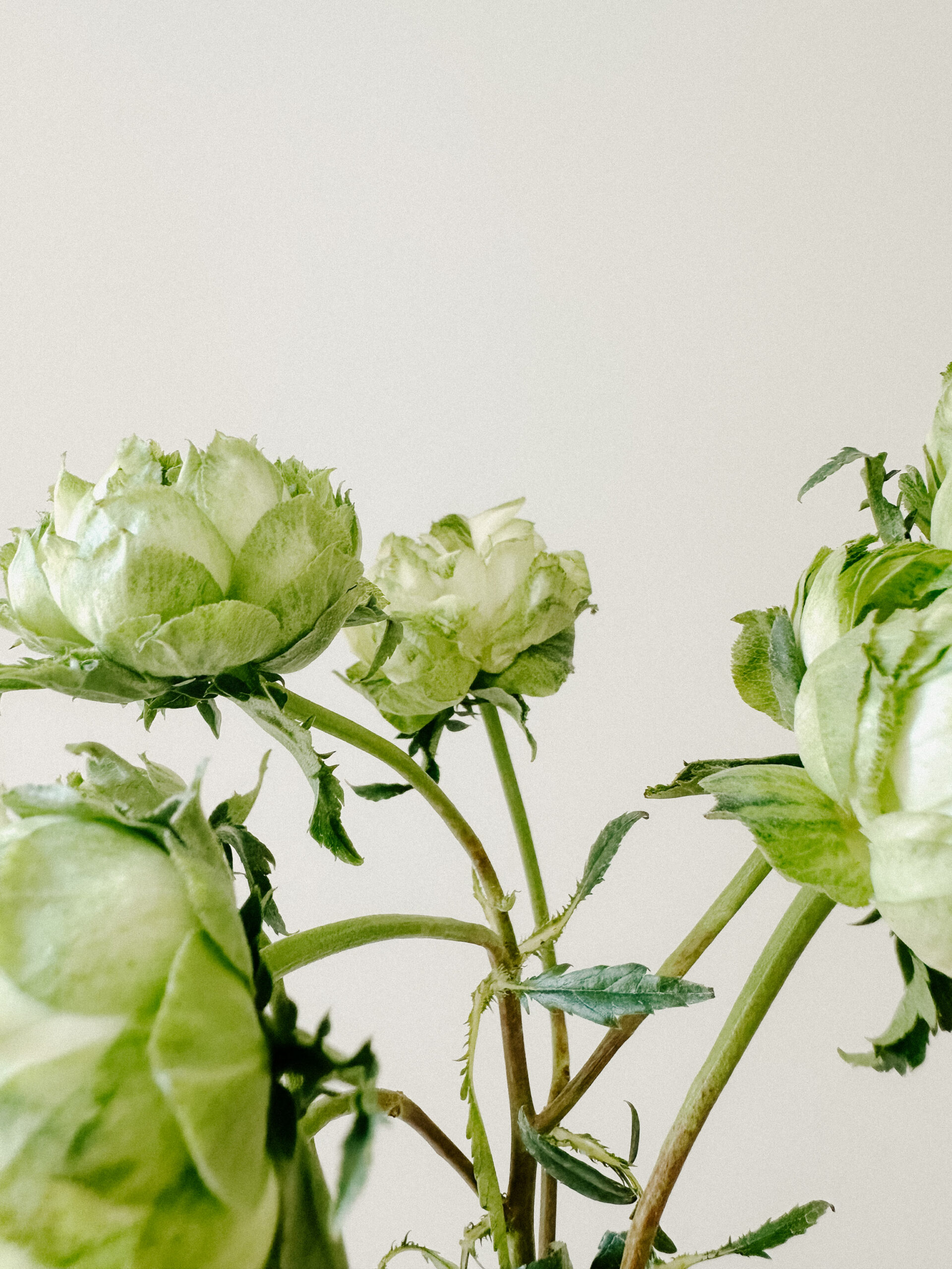 Minnesota in Spring - Kelly Zugay - Mom Blog, Mom Blogs, Twin Cities Blogger, Minnesota Blogger, Motherhood Blog - 15