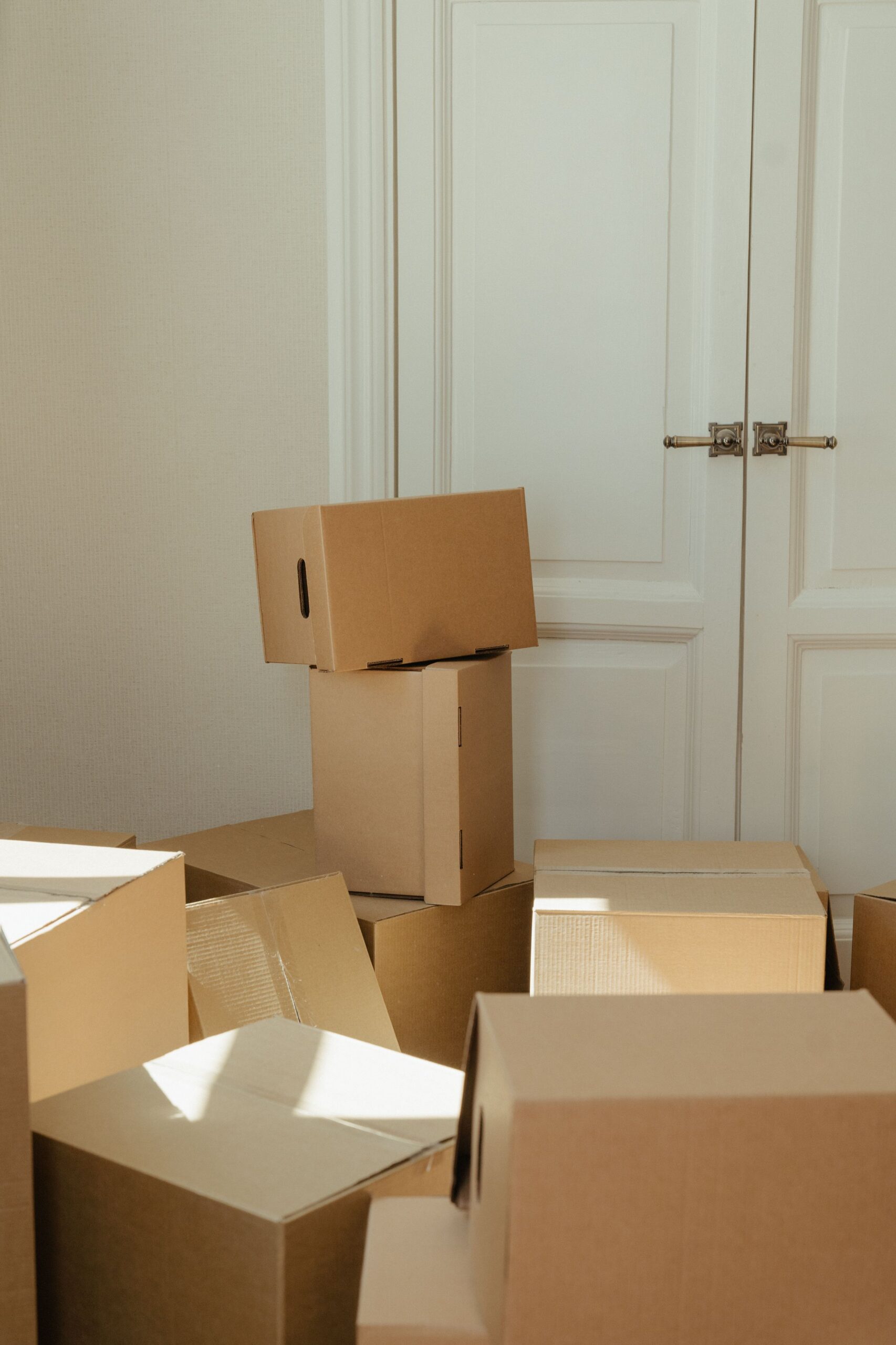 Moving from Minnesota to Southwest Florida - Tips for Moving - Kelly Zugay - Florida Mom Blog, Mom Blogs